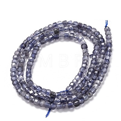 Natural Iolite/Cordierite/Dichroite Beads Strands G-H266-30-1