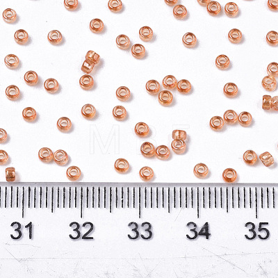 Glass Seed Beads X-SEED-S042-11A-03-1