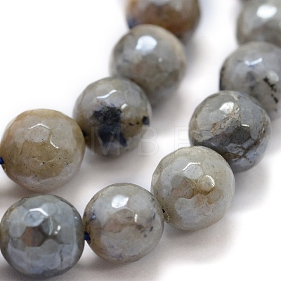 Natural Labradorite Beads Strands G-P385-01-8mm-1