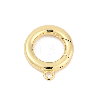 Brass Spring Gate Clasps KK-M311-25G-01-1