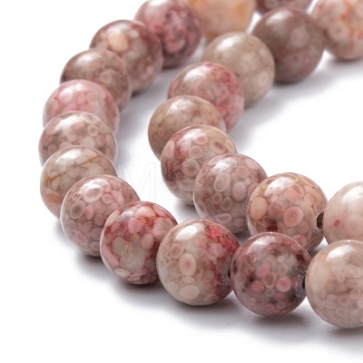 Natural Maifanite/Maifan Stone Beads Strands G-P451-01A-1