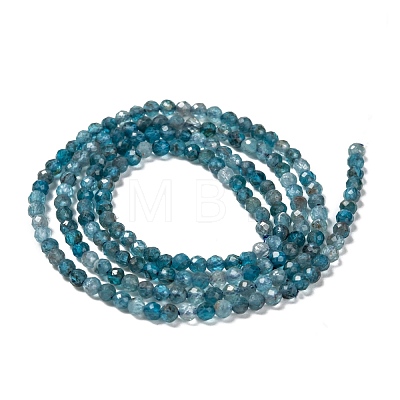 Natural Apatite Beads Strands G-K185-02-1