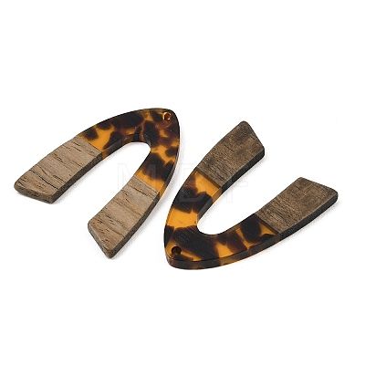 Transparwnt Resin & Walnut Wood Pendants RESI-I354-03J-1
