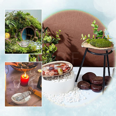 Natural Paua Shell Display Decorations DJEW-WH0042-148A-1