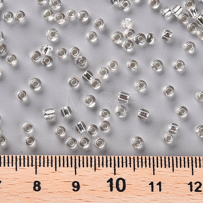 8/0 Glass Seed Beads SEED-A005-3mm-21-1