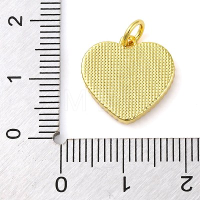 Brass Enamel Pendants KK-S401-17G-G-1