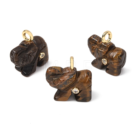 Natural Tiger Eye Carved Pendants G-H357-01G-07-1