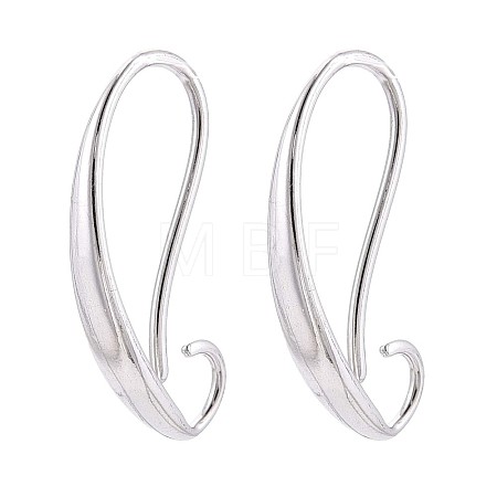 304 Stainless Steel Earring Hooks STAS-N108-29P-1