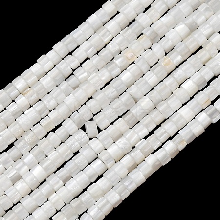 Natural Freshwater Shell Beads Strands X-SHEL-K006-72C-1
