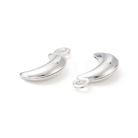 304 Stainless Steel Pendants STAS-I138-05S-1