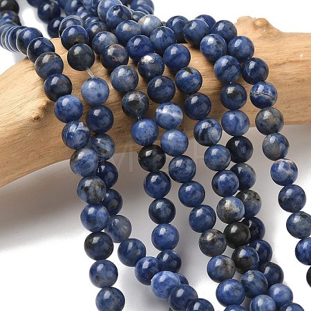 Natural Sodalite Beads Strands G-G515-6mm-07-1