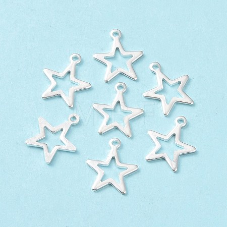304 Stainless Steel Charms STAS-L234-095S-1