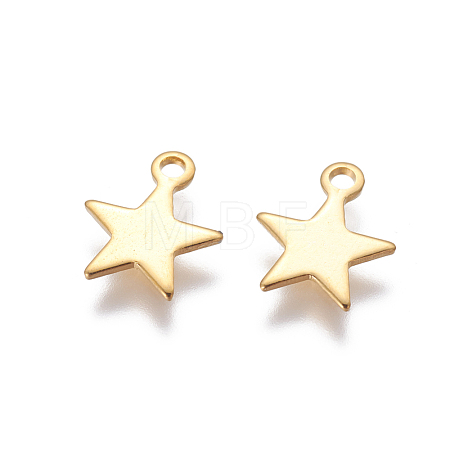 304 Stainless Steel Charms STAS-G190-27G-B-1