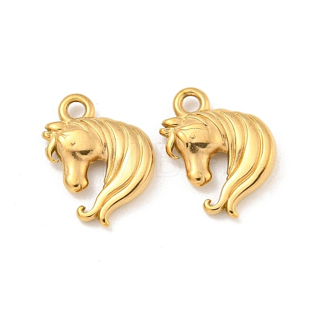Ion Plating(IP) 304 Stainless Steel Charms X-STAS-N103-87G-1