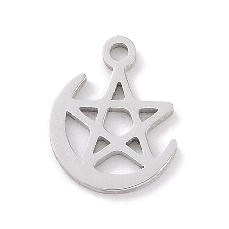 Non-Tarnish 304 Stainless Steel Charms STAS-K286-01F-P-1