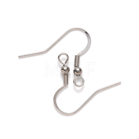 Tarnish Resistant 304 Stainless Steel Earring Hooks X-STAS-S111-007-1