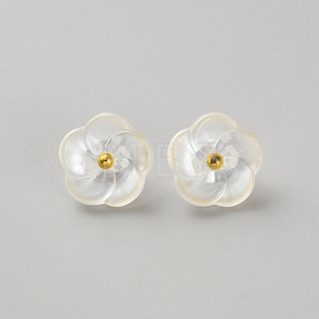 1-Hole Resin Shank Buttons AJEW-WH20048-01B-1