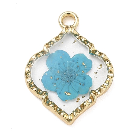 Alloy Epoxy Resin Pendants AL-Z001-08G-02-1
