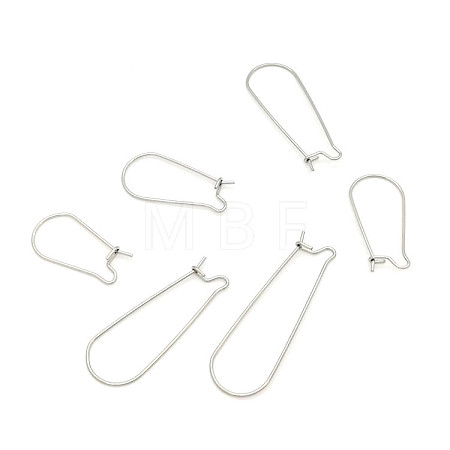 Stainless Steel Hoop Earring Findings STAS-WH0014-34C-P-1