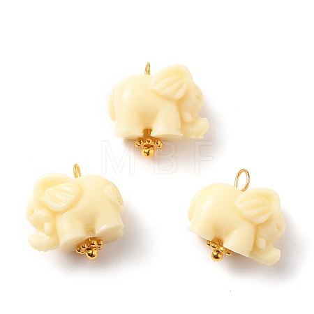 Dyed Synthetic Coral Pendants PALLOY-JF00558-02-1