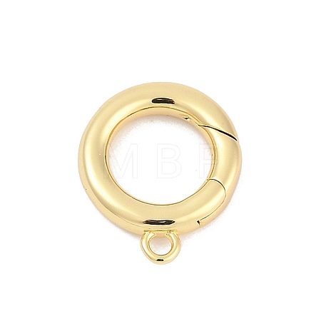 Brass Spring Gate Clasps KK-M311-25G-01-1
