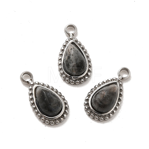 304 Stainless Steel Pave Natural Labradorite Teardrop Charms STAS-B074-04P-03-1