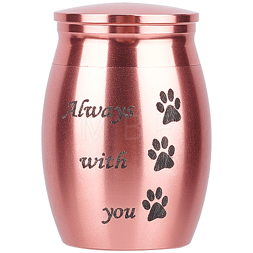 316 Stainless Steel Pet Cinerary Casket AJEW-WH0013-41B-1