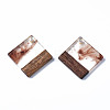 Transparent Resin & Walnut Wood Pendants RESI-T035-31B-2