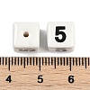 Handmade Porcelain Beads LS-PORC-R003-07-05-3