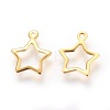 304 Stainless Steel Charms STAS-P227-21G-2