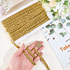Braided Polyester Lace Ribbons SRIB-DR0001-03A-4