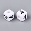Opaque Acrylic European Large Hole Beads SACR-N020-01B-05-2