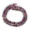 Natural Plum Blossom Tourmaline Beads Strands G-I355-01A-02-6