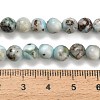Natural Larimar Beads Strands G-L642-B19-6mm-5