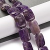 Natural Amethyst Beads Strands G-T047-B08-01-2