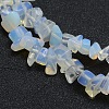 Opalite Beads Strands G-P332-11-3