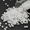 TOHO 6/0 Round Beads SEED-TR06-0041F-1