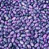 Glass Seed Beads SEED-T009-02M-3
