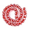 Handmade Lampwork Beads Strands LAMP-N037-05F-2