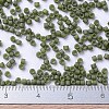 MIYUKI Delica Beads X-SEED-J020-DB0391-4