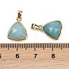 Natural Amazonite Pendants G-O176L-11G-3