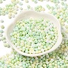6/0 Glass Seed Beads SEED-M012-01A-04-2
