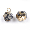 Electroplate Natural Dalmatian Jasper Star Cut Round Charms G-S344-08D-2