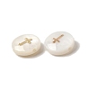 Natural Freshwater Shell Flat Round Beads X-SHEL-C009-01E-2