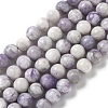 Natural Purple Turquoise Beads Strands G-L595-C04-01-1