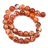 Natural Fire Crackle Agate Beads Strands G-G163-A01-04-8