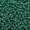 TOHO 6/0 Round Beads SEED-TR06-0055D-4