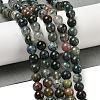 Natural Indian Agate Beads Strands G-A248-A01-02-2