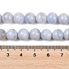Natural Blue Lace Agate Beads Strands G-B183-A01-8mm-5