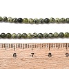 Natural Serpentine/Green Lace Stone Beads Strands G-Z116-A16-3mm-5